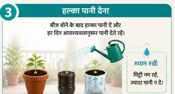 हल्का पानी देना