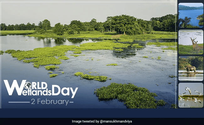 World Wetland Day Conference — image 1